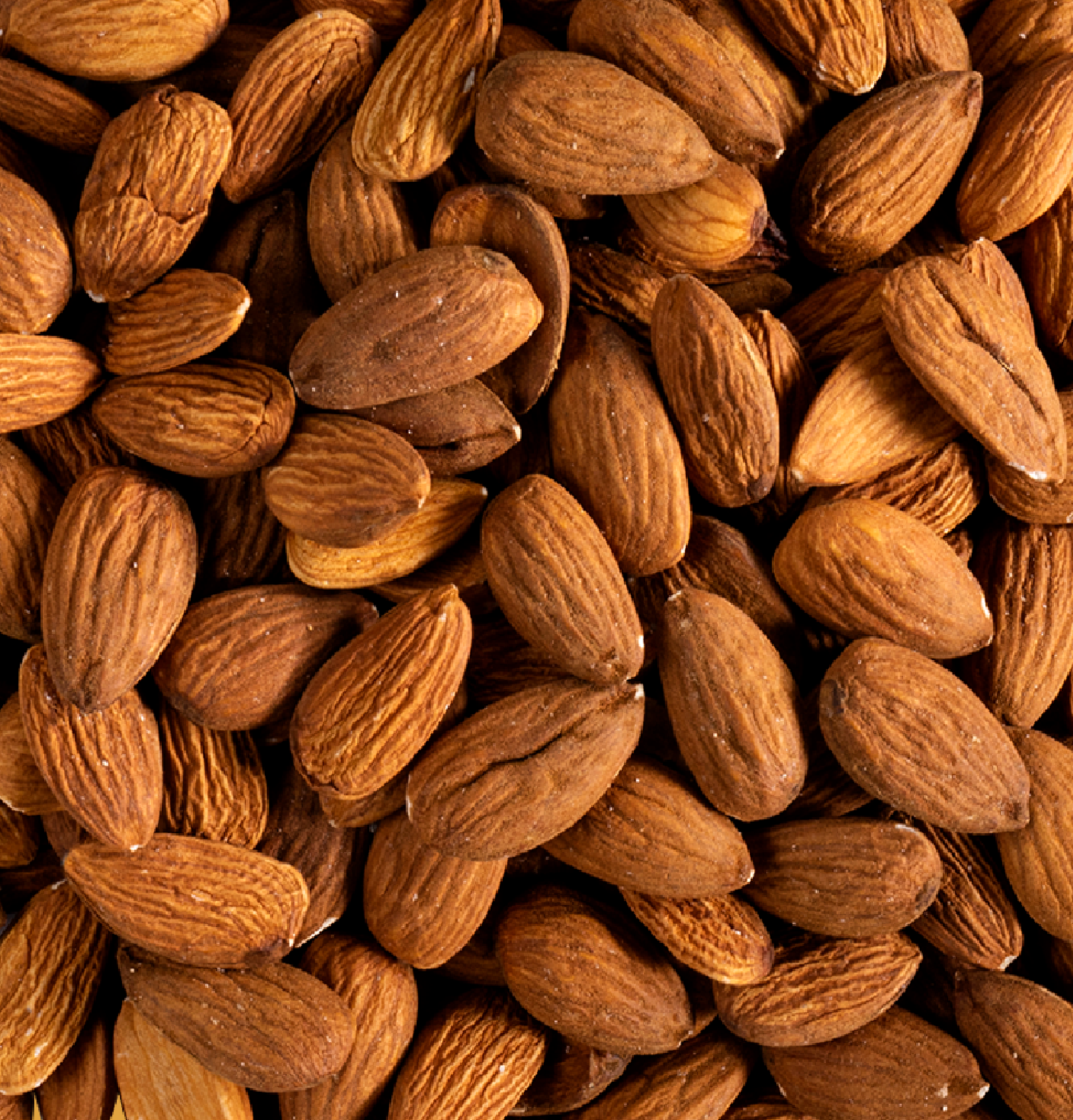 Amandes décortiquées  